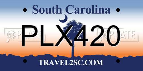 PLX420 South Carolina License Plate