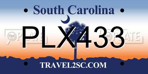 PLX433 South Carolina License Plate