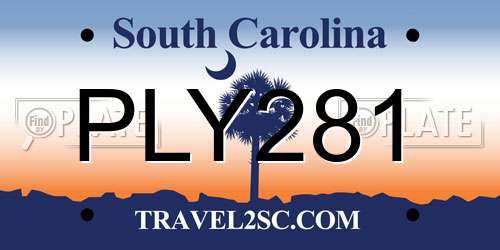 PLY281 South Carolina License Plate