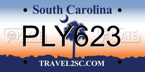 PLY623 South Carolina License Plate