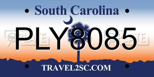 PLY8085 South Carolina License Plate