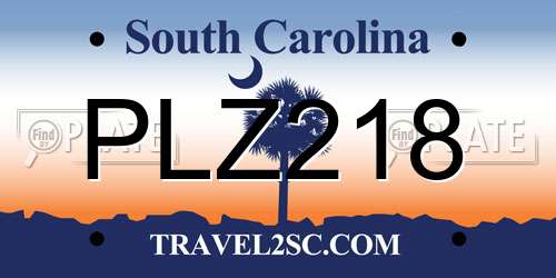 PLZ218 South Carolina License Plate