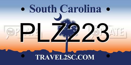PLZ223 South Carolina License Plate
