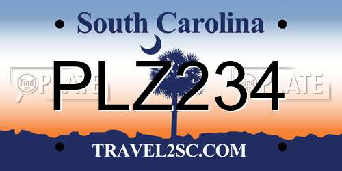 PLZ234 South Carolina License Plate