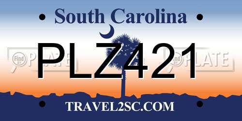 PLZ421 South Carolina License Plate