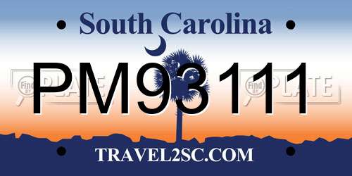 PM93111 South Carolina License Plate