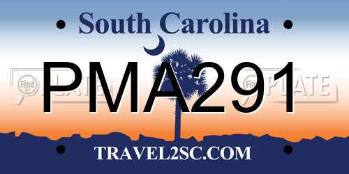 PMA291 South Carolina License Plate