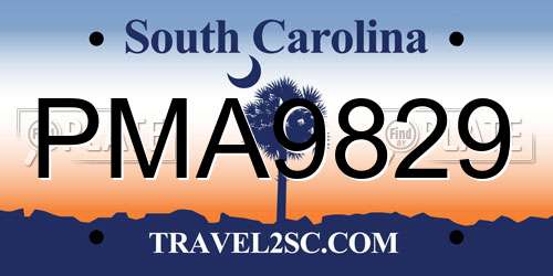 PMA9829 South Carolina License Plate