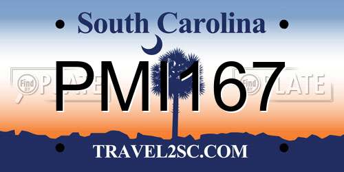 PMI167 South Carolina License Plate