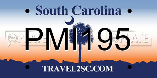 PMI195 South Carolina License Plate