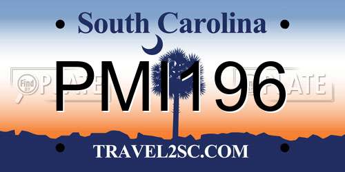 PMI196 South Carolina License Plate