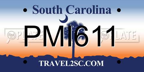 PMI611 South Carolina License Plate