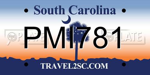 PMI781 South Carolina License Plate