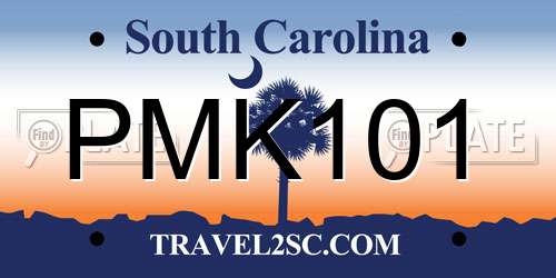 PMK101 South Carolina License Plate