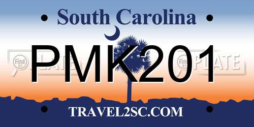 PMK201 South Carolina License Plate