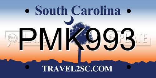 PMK993 South Carolina License Plate