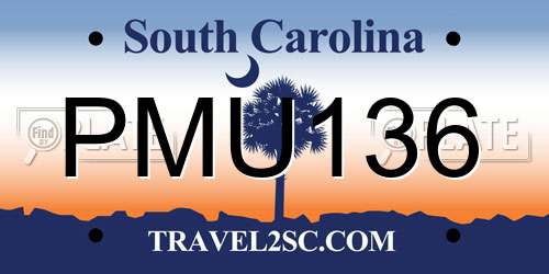 PMU136 South Carolina License Plate