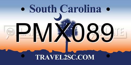 PMX089 South Carolina License Plate