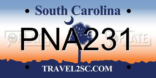 PNA231 South Carolina License Plate