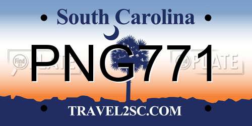 PNG771 South Carolina License Plate