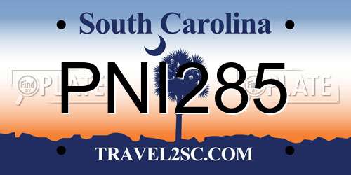 PNI285 South Carolina License Plate