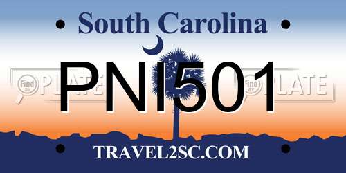 PNI501 South Carolina License Plate