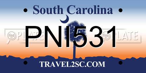 PNI531 South Carolina License Plate
