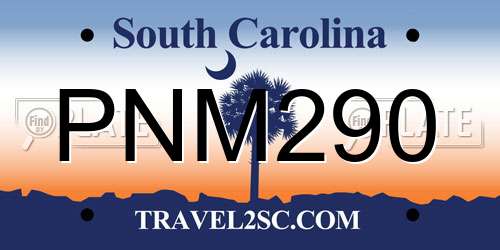 PNM290 South Carolina License Plate