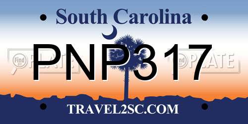 PNP317 South Carolina License Plate