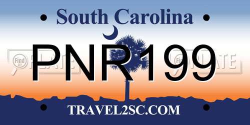 PNR199 South Carolina License Plate