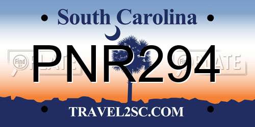 PNR294 South Carolina License Plate