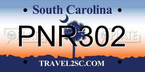 PNR302 South Carolina License Plate
