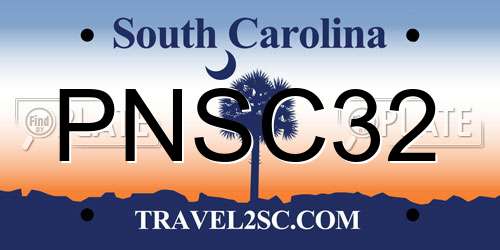 PNSC32 South Carolina License Plate