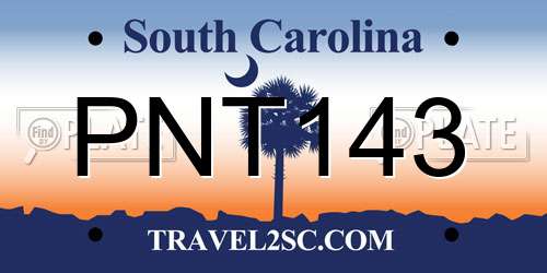 PNT143 South Carolina License Plate