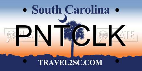 PNTCLK South Carolina License Plate