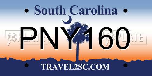 PNY160 South Carolina License Plate