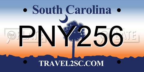 PNY256 South Carolina License Plate
