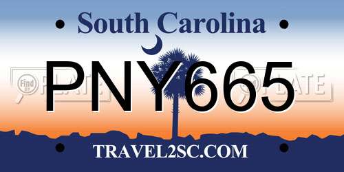 PNY665 South Carolina License Plate