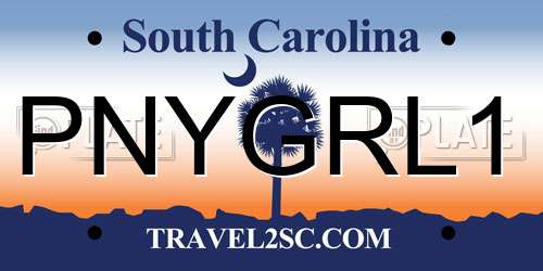 PNYGRL1 South Carolina License Plate