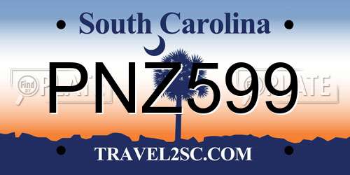 PNZ599 South Carolina License Plate
