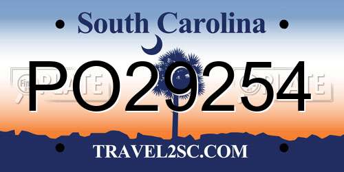 PO29254 South Carolina License Plate