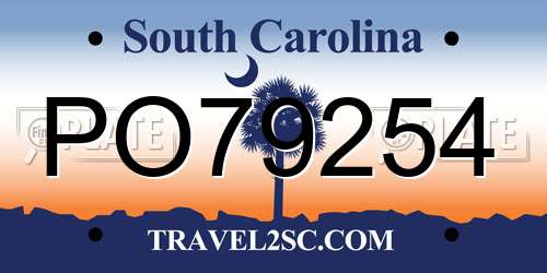 PO79254 South Carolina License Plate