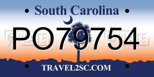 PO79754 South Carolina License Plate