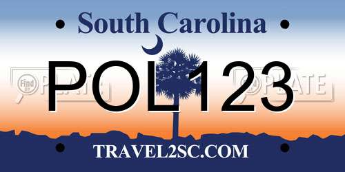 POL123 South Carolina License Plate