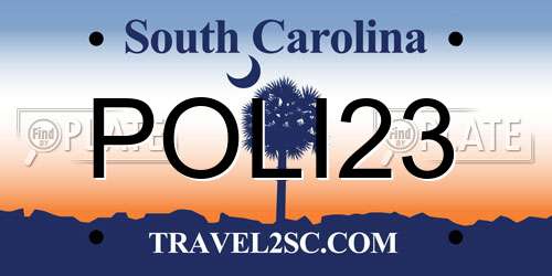 POLI23 South Carolina License Plate