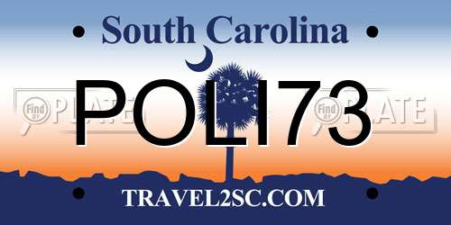 POLI73 South Carolina License Plate