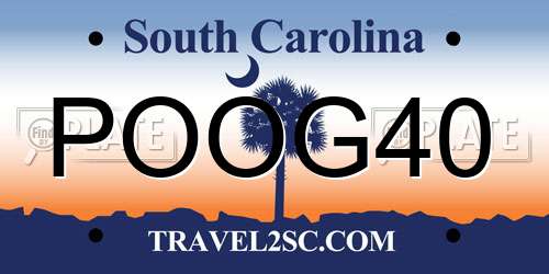 POOG40 South Carolina License Plate