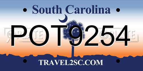 POT9254 South Carolina License Plate