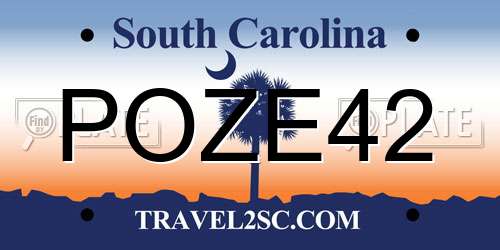 POZE42 South Carolina License Plate