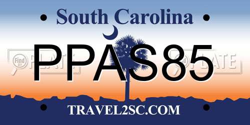 PPAS85 South Carolina License Plate